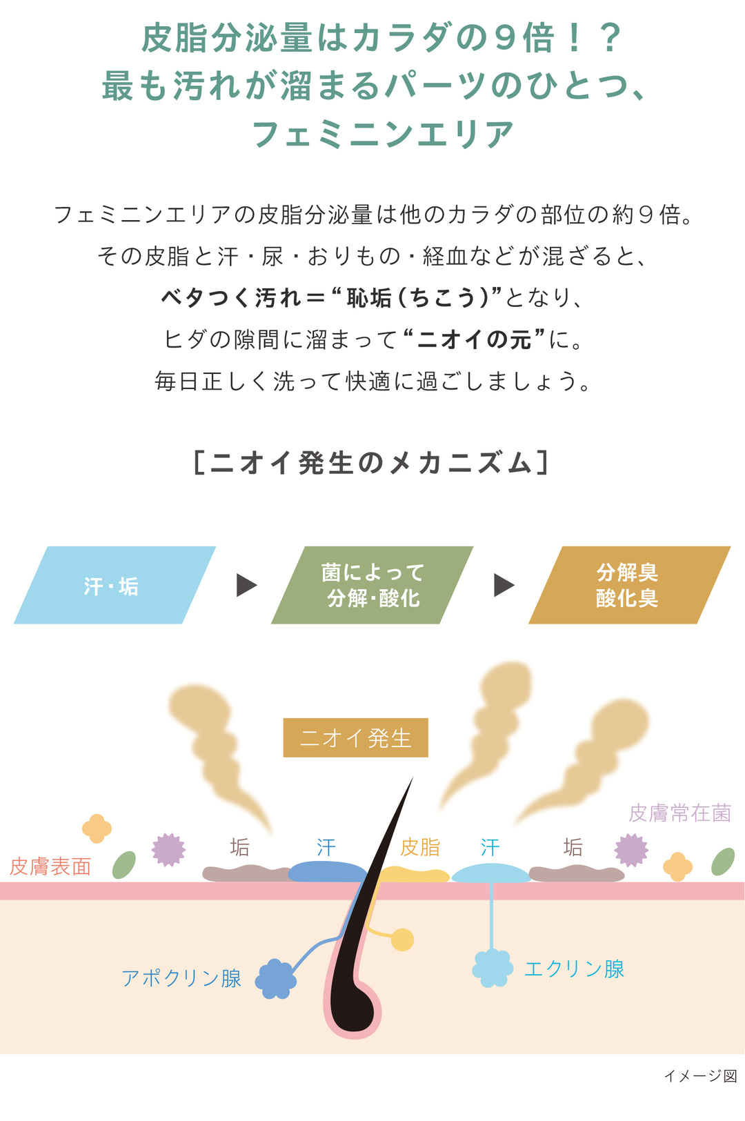 センシュアル フェミニン デオウォッシュ<br> デリケートゾーンソープ<br>  ニオイ・ムレケア 保湿・やさしい洗浄<br>