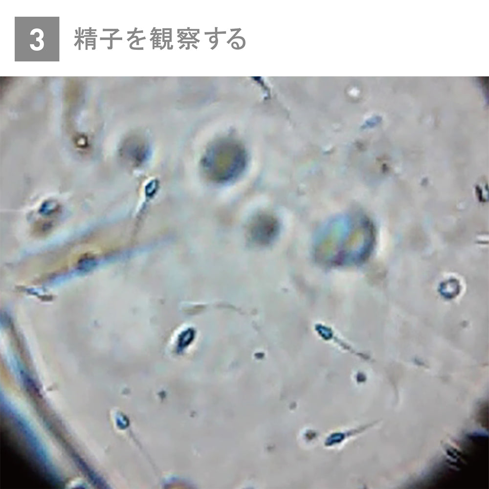 精子観察キット メンズルーペ<br>男性妊活セルフチェックキット<br>精子の状態を自宅で確認 スマホ連動・手軽にチェック<br>