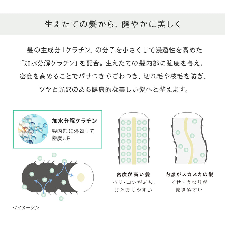 リッチヘア セラム<br>薬用育毛美容液（女性用育毛剤）<br>抜け毛・薄毛ケア 医薬部外品・頭皮環境サポート<br>