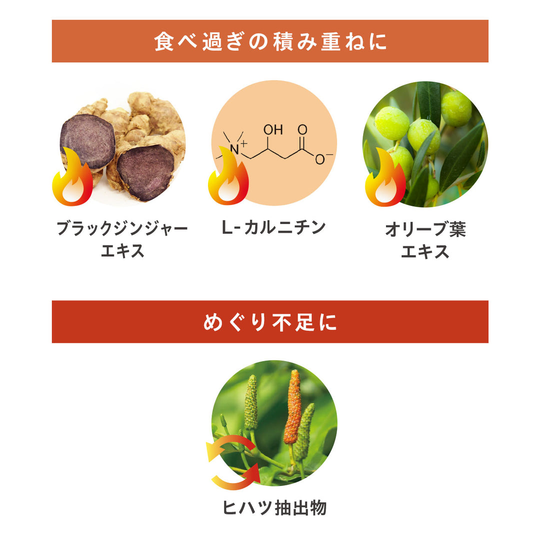 【糖質対策・ダイエット】<br>パーフェクトダイエット プレミアム（30日分）<br> 日常の食事にプラスする糖質ケアサポート<br>