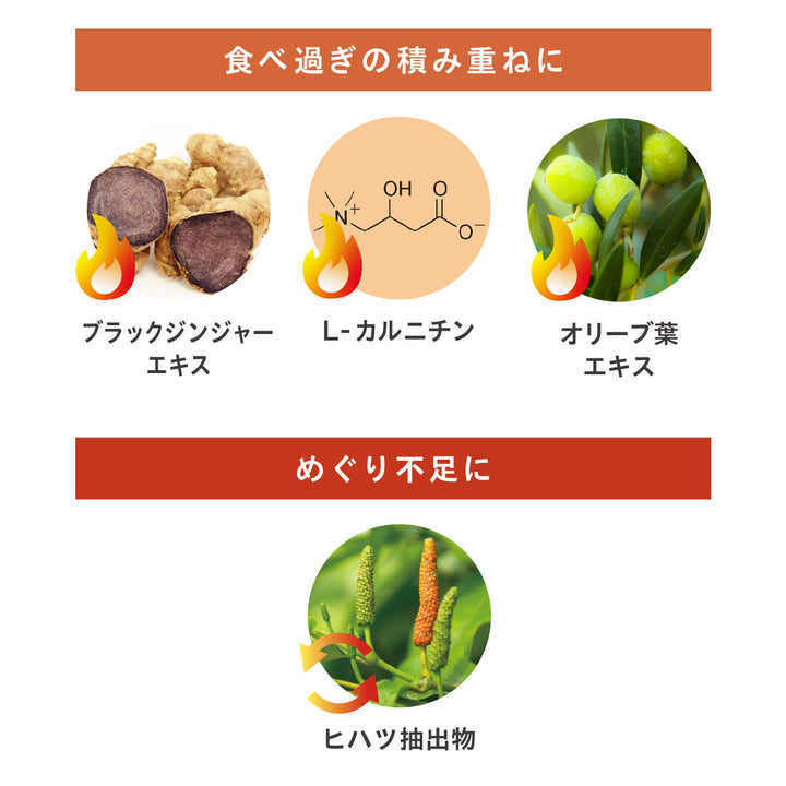 【糖質対策・ダイエット】<br>パーフェクトダイエット プレミアム（30日分）<br> 日常の食事にプラスする糖質ケアサポート<br>