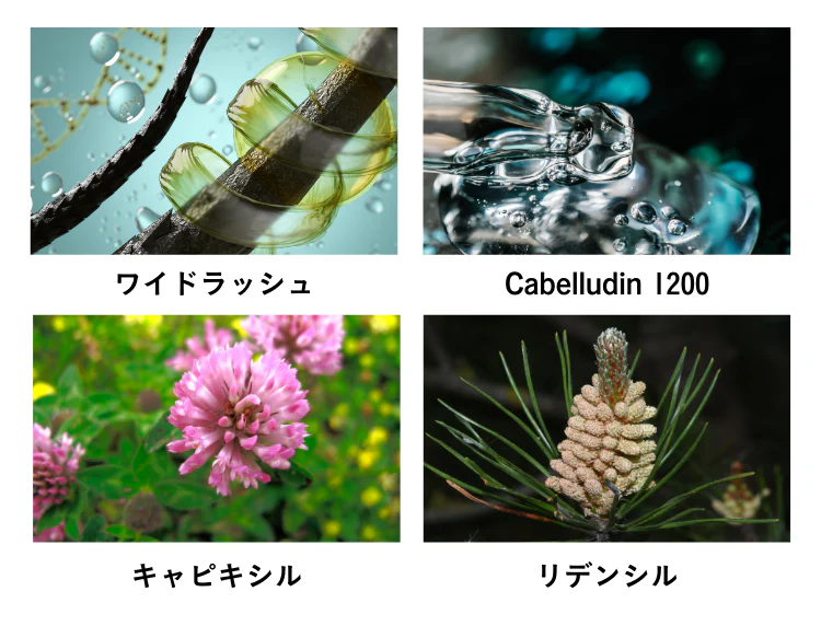 モイストシャンプー<br>スカルプケアシャンプー<br>頭皮ケア・ハリコシケア アミノ酸洗浄<br>